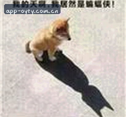 赵敏